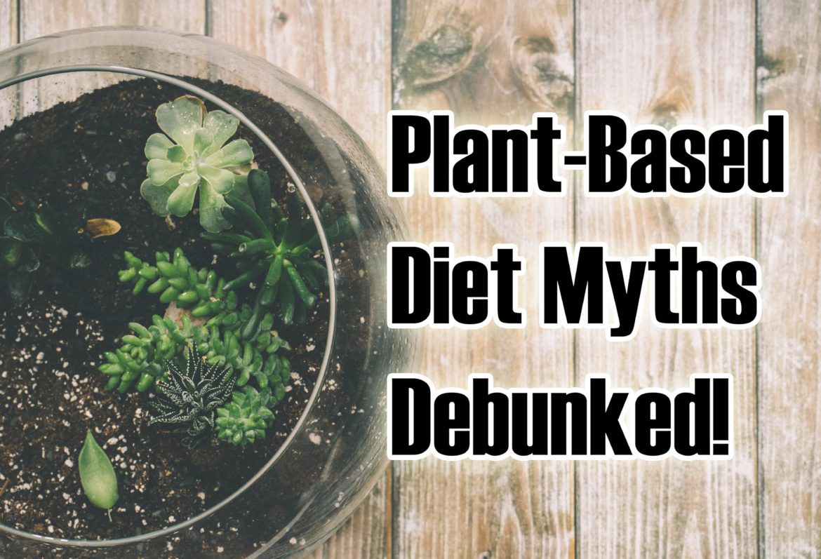 Plant-Based Diet Myths Debunked!