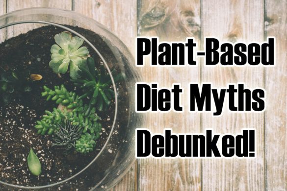 Plant-Based Diet Myths Debunked!
